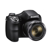 SONY DSCH300B