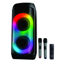 Microlab PT802W karaoke 200W