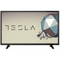 TESLA 42S306BF