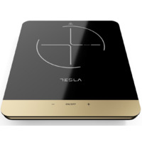 TESLA IC401B