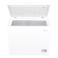 Tesla RH2500HE 246l