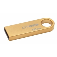 Kingston 16GB DTGE9/16GB