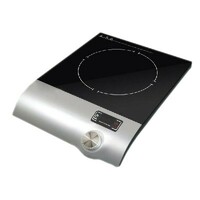 CROWN IC 2000-indukcija