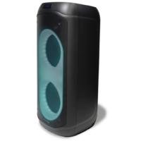 Microlab PT802W karaoke 200W
