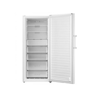 TESLA RU2700FM