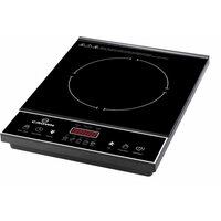 CROWN IC 2000 DD-Indukcija