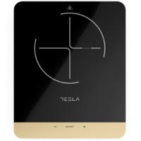 TESLA IC401B